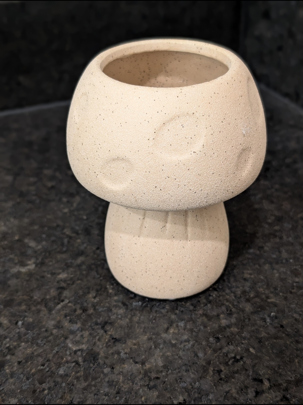 Ceramic Mushroom Planter